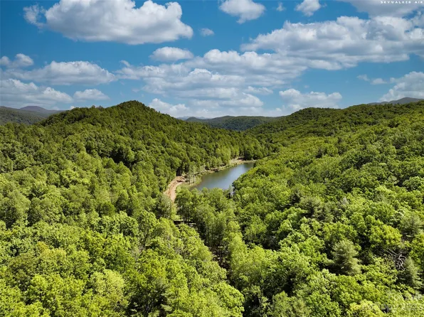 Scout Camp Rd, Saluda, NC 28773