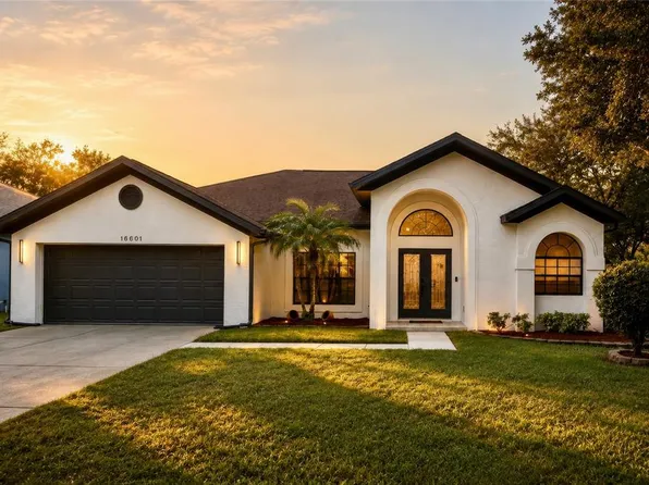 16601 MEADOW COVE STREET, TAMPA, FL 33624