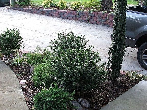 Newly Landscaped