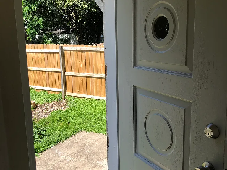 Backdoor going to backyard.