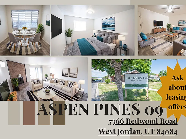 Aspen Pines — Photo 305