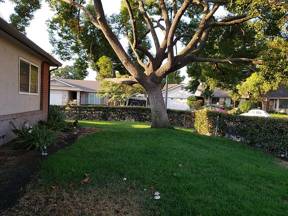 Front yard, mature shade trees