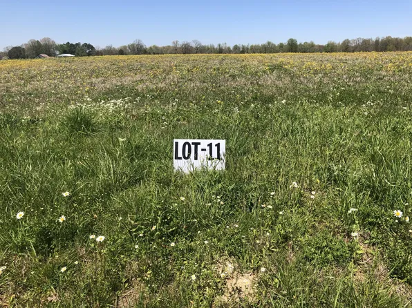 0 Dugout Rd Lot 11, Summertown, TN 38483