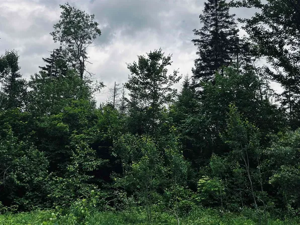 1606 Town Farm Road, Sheffield, VT 05866