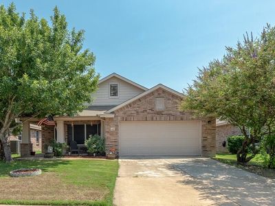 1809 Black Maple Dr, Anna, TX, 75409