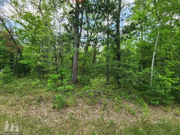 LOT 53 Tee Lake Woods Rd, Lewiston, MI 49756