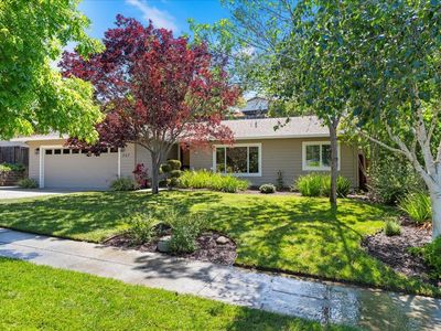 267 More Ave, Los Gatos, CA, 95032