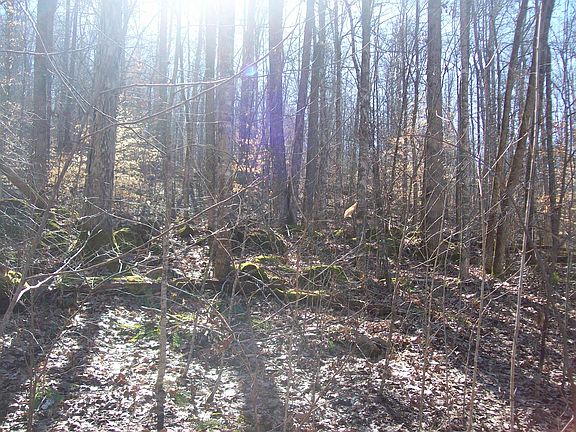2nd image of 200 Off Sinks Road
