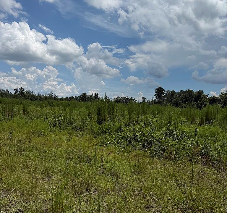 1st image of 3181 Old Clyattville Rd