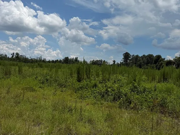 3181 Old Clyattville Rd, Valdosta, GA 31601