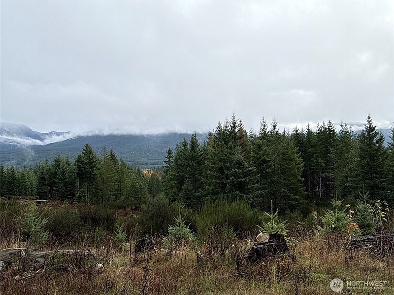 3rd image of 2 XX Forest Road 52