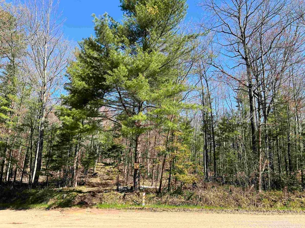 Nejedlo Rd #1, Wausaukee, WI 54177