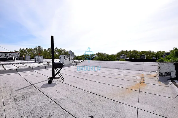 Rented by null | media 25