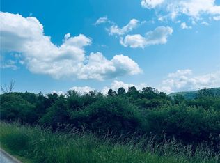 0 Clark Rd #11, Alfred Station, NY 14803