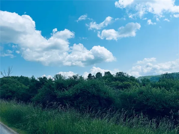 0 Clark Rd #11, Alfred Station, NY 14803