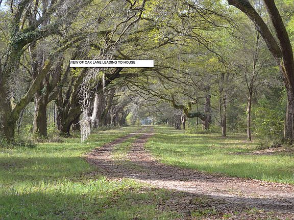 Live Oak Lane