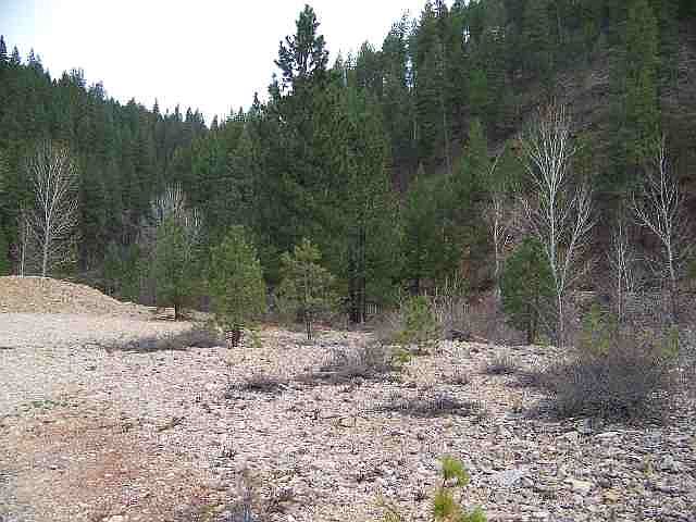 1st image of Tax 64 Kentuck Placer
