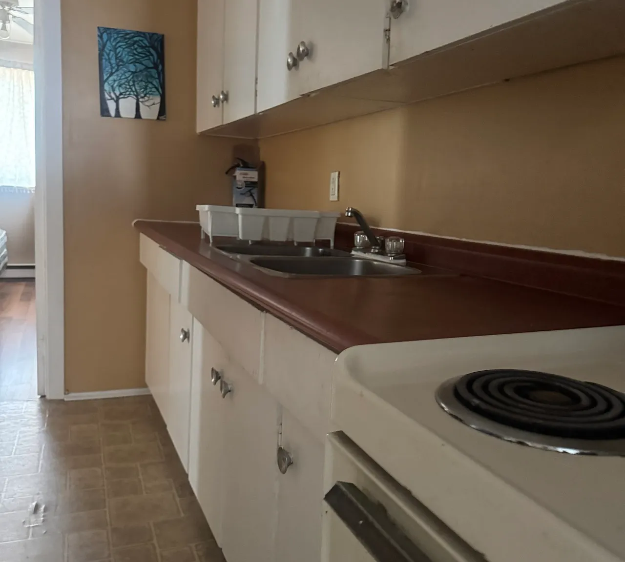 1 bed, 225 sqft, $795 — Photo 4