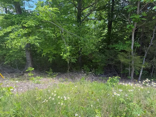 Buzzard Roost Rd, Jamestown, TN 38556