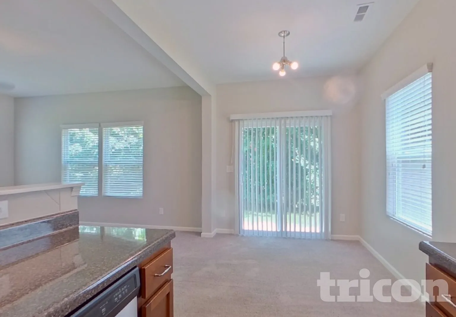 1572 Brett Shane Court Gastonia NC — Photo 3