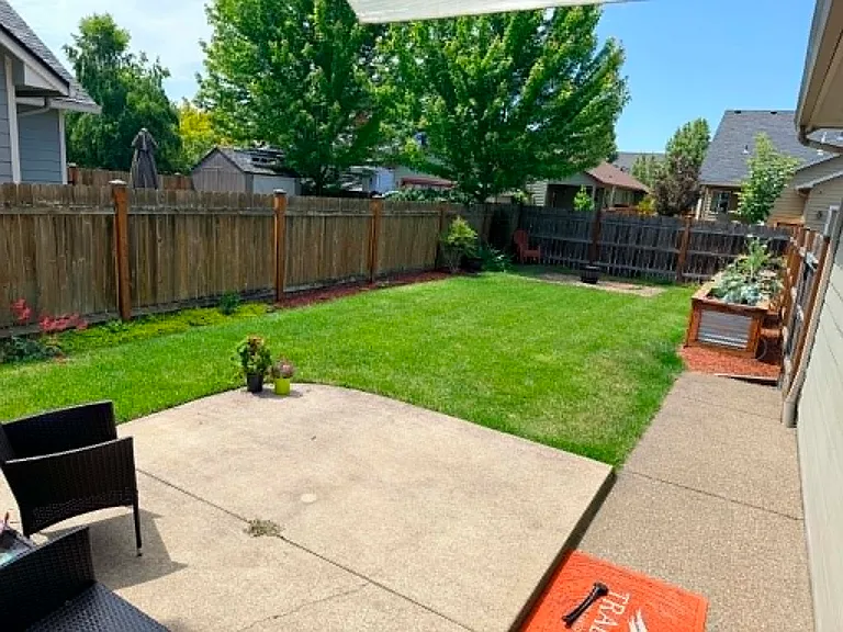 Back yard