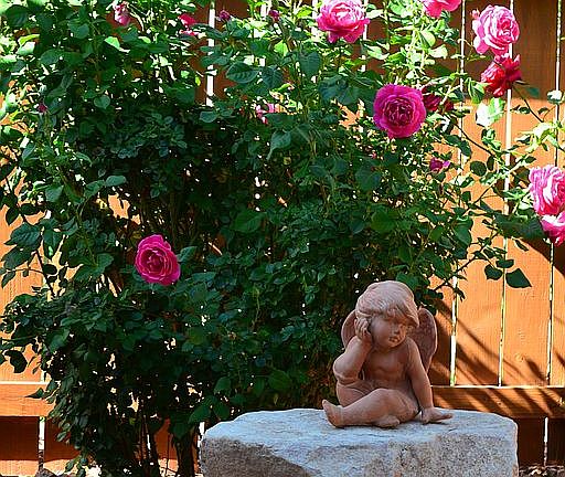 Sprinkler system for garden 