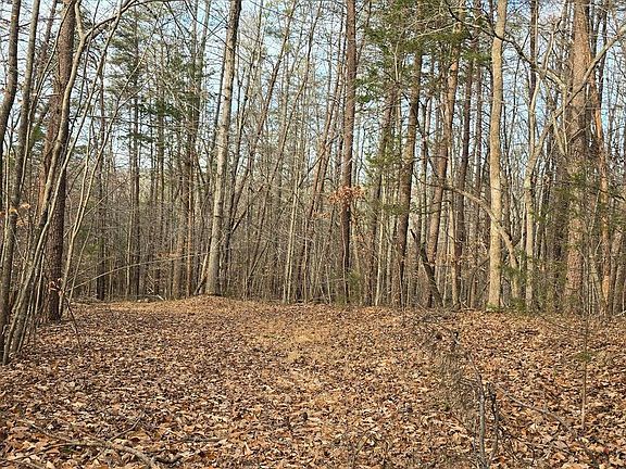 3rd image of 0 Lind Hill Ln
