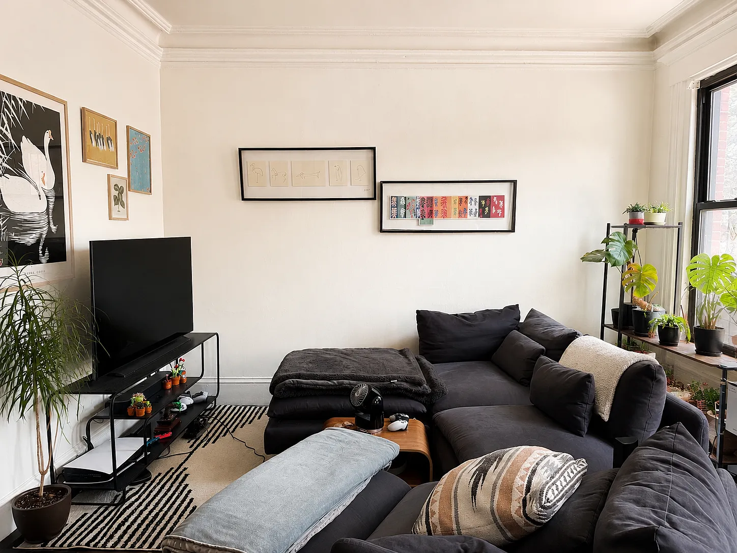 1 bed, 645 sqft, $3,000 — Photo 2