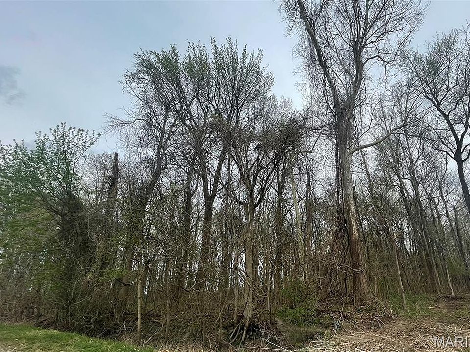2nd image of 0 County Road 351