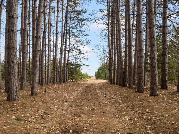 0 Golden Rd SE, Kalkaska, MI 49646