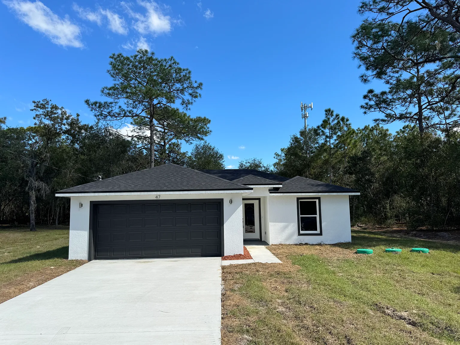 3 bed, 1270 sqft, $1,750 — Photo 2