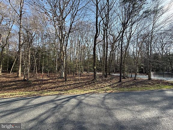 3rd image of 0 Utica Rd Parcel 4