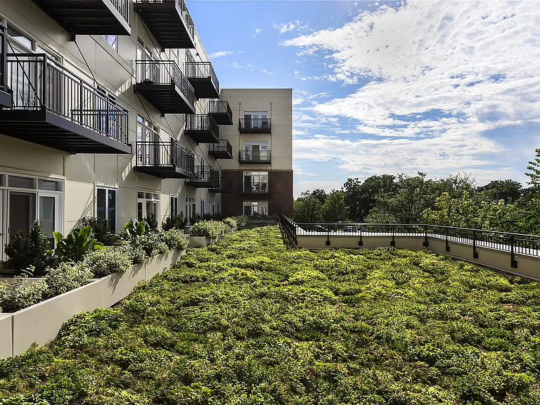 The Residences of Wilmette — Photo 10