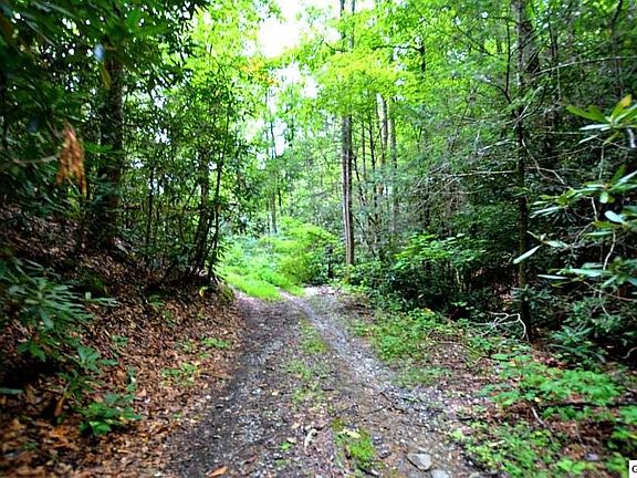 3rd image of 68 Big Bear Ridge Rd Lot 68