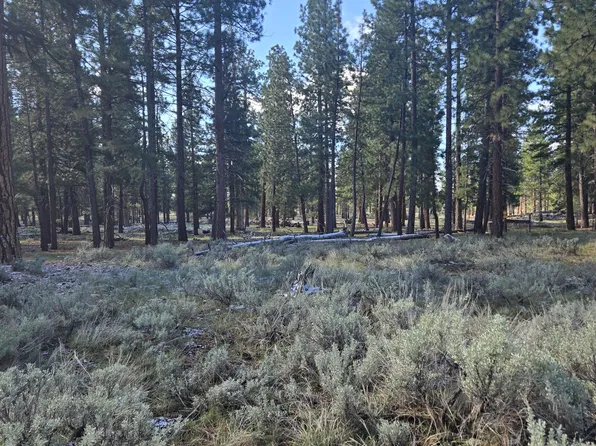 0 Hazel Way, Susanville, CA 96130