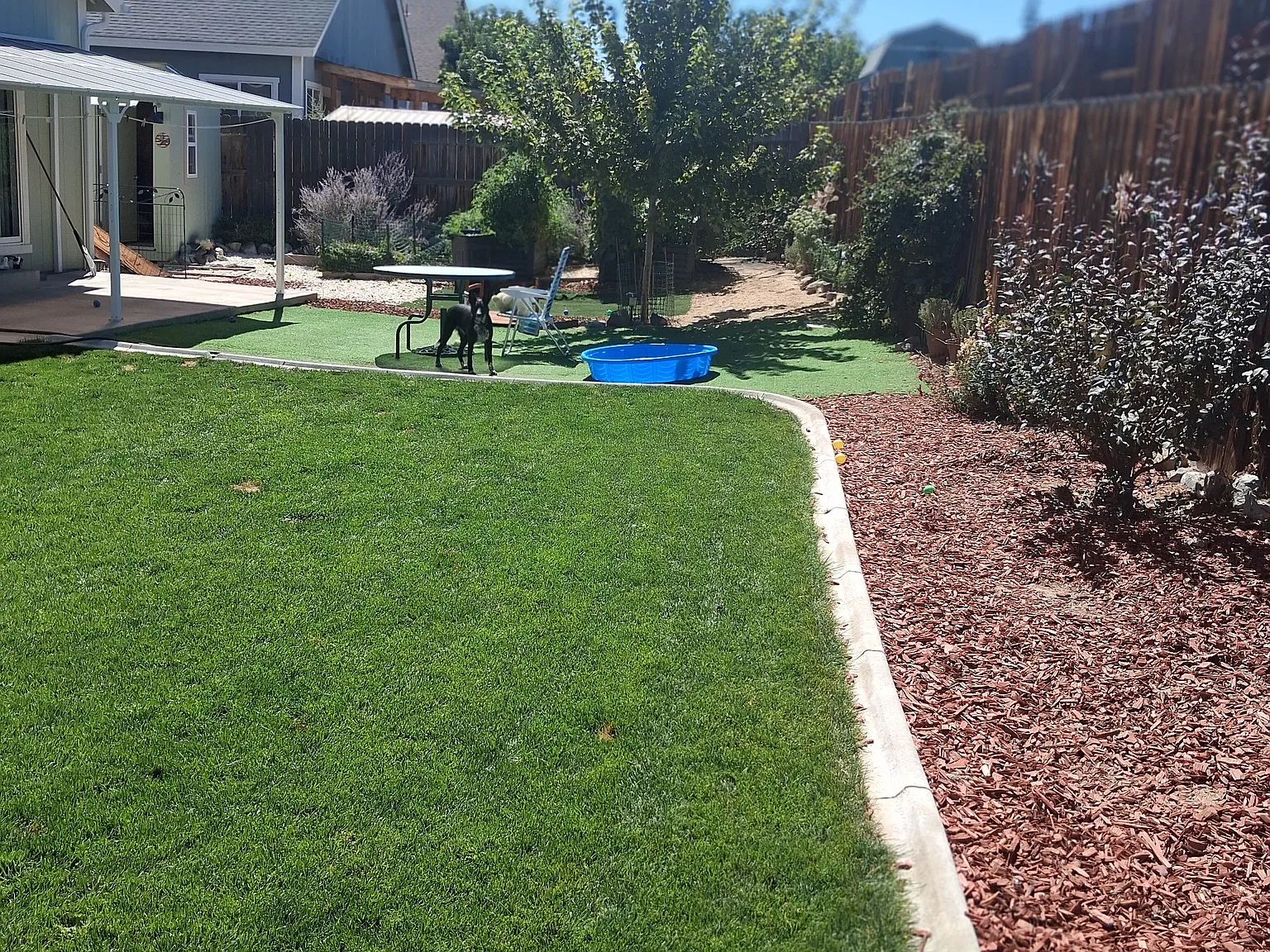 3 bed, 1493 sqft, $2,250 — Photo 4