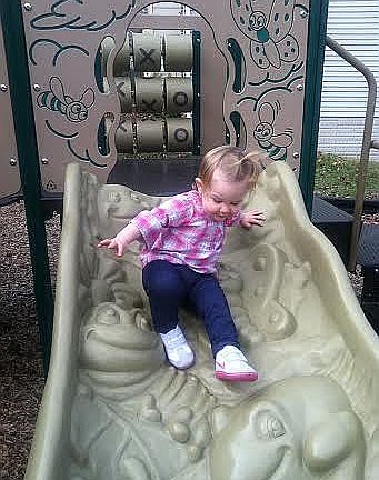 Hedgerow Ter Tot Lot