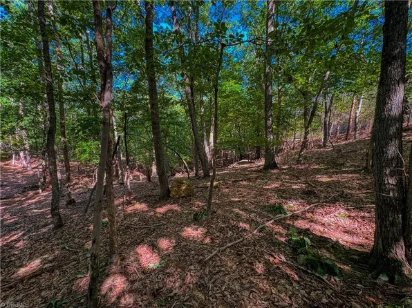 784 Palisade Trl #207, Denton, NC 27239