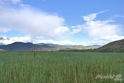 Topography is gentle slope to the South East.