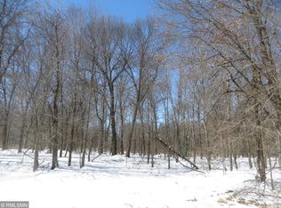 351XX Grand Ave, Lent Township, MN 55079