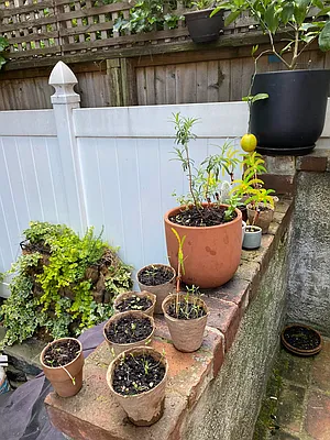 Rented by Double R Ventures LLC | media 37