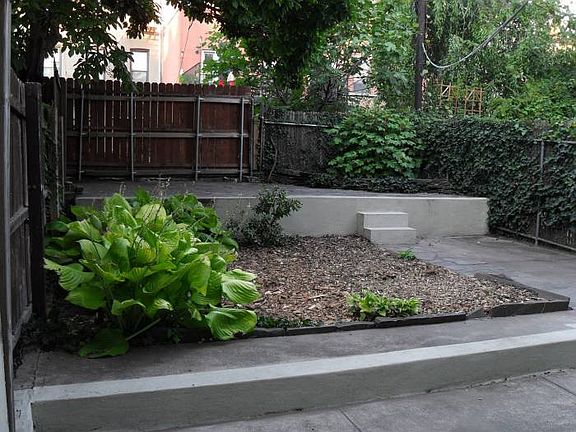 Back yard