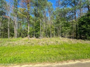Sleepy Hollow Rd, Terry, MS 39170