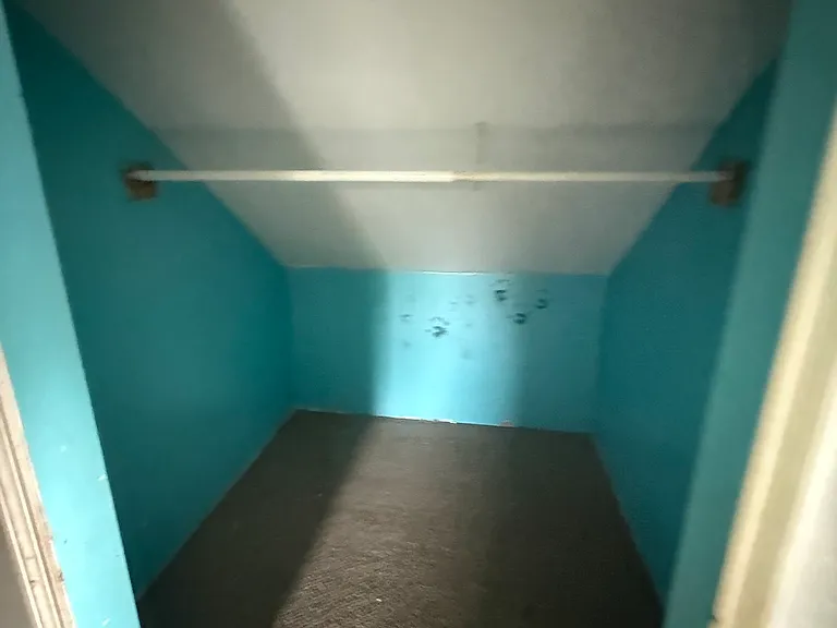 Closet - no longer has carpet
