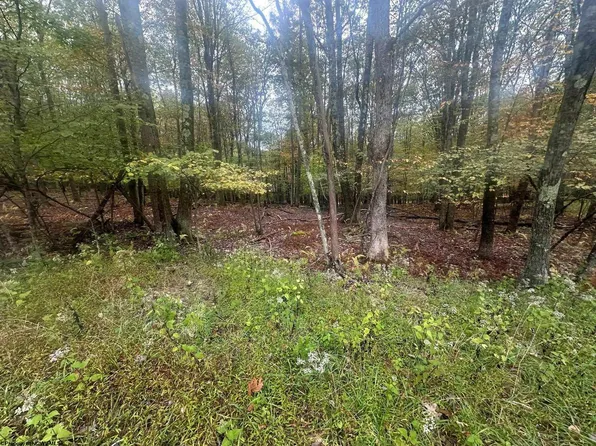 Lots 27 & 28 Alpine Dr, Terra Alta, WV 26764