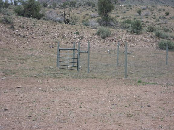 Large horse paddocks