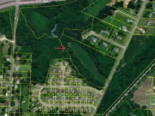 0 N Main St, Medina, TN 38355