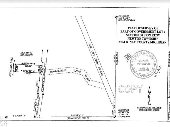 42 Pike Grade Rd, Gould City, MI 49838