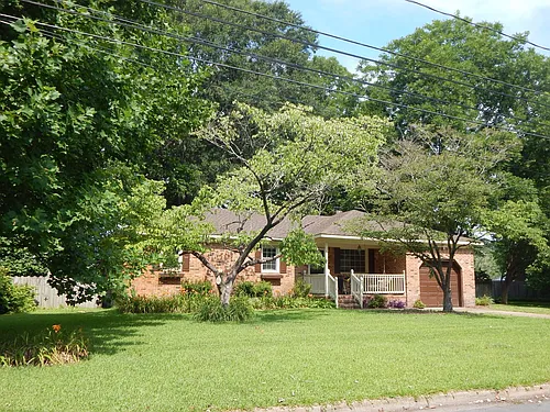 1024 Vanderploeg Dr Photo 1