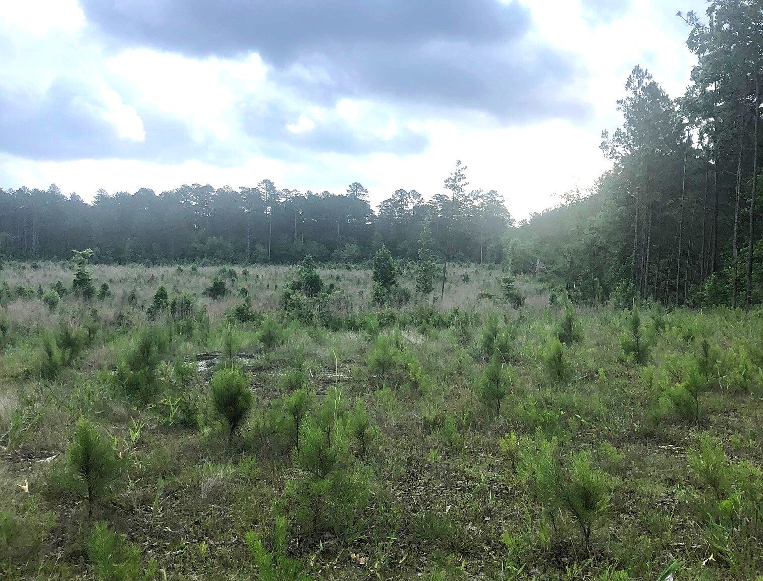 Shuler Rd, El Dorado, AR 71730 MLS A49366 Zillow